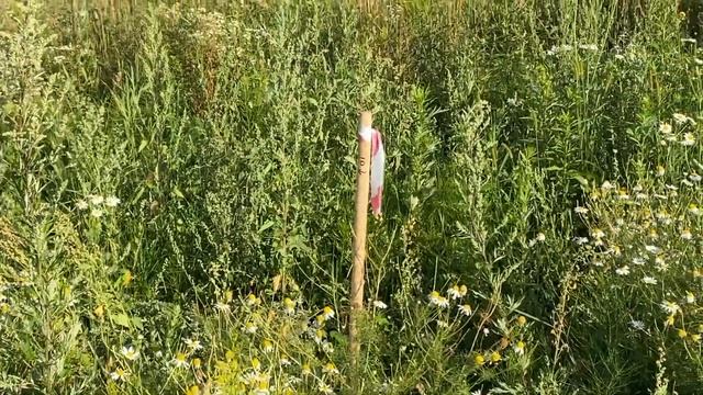 ЕДЕМ НА ДАЧУ И НА УЧАСТОК | ищем границы, делаю заготовки | МЕНЯЮ ОТЧЕСТВО смотреть онлайн