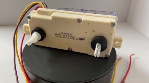 Таймер DXT35 сдвоенный для стиральной машины Renova, Славда, EVGO WS-35E