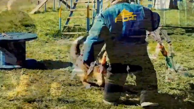 Немецкая Овчарка Дозор. смотреть онлайн