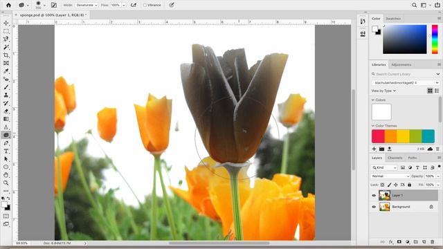 How To Use the Sponge Tool in Photoshop with Voiceovers смотреть онлайн