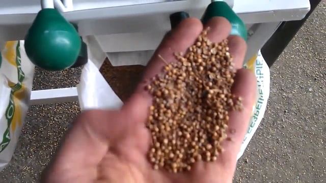 Очистка кориандра смотреть онлайн