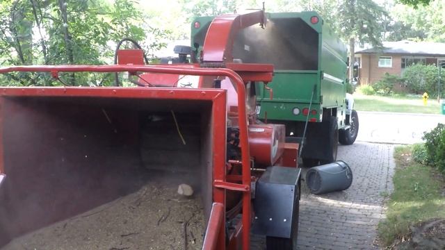 ash tree смотреть онлайн