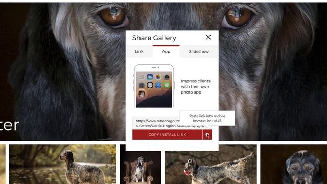 Mobile Phone Photo Gallery App - Photographers Photo Sharing Website - SmugMug смотреть онлайн