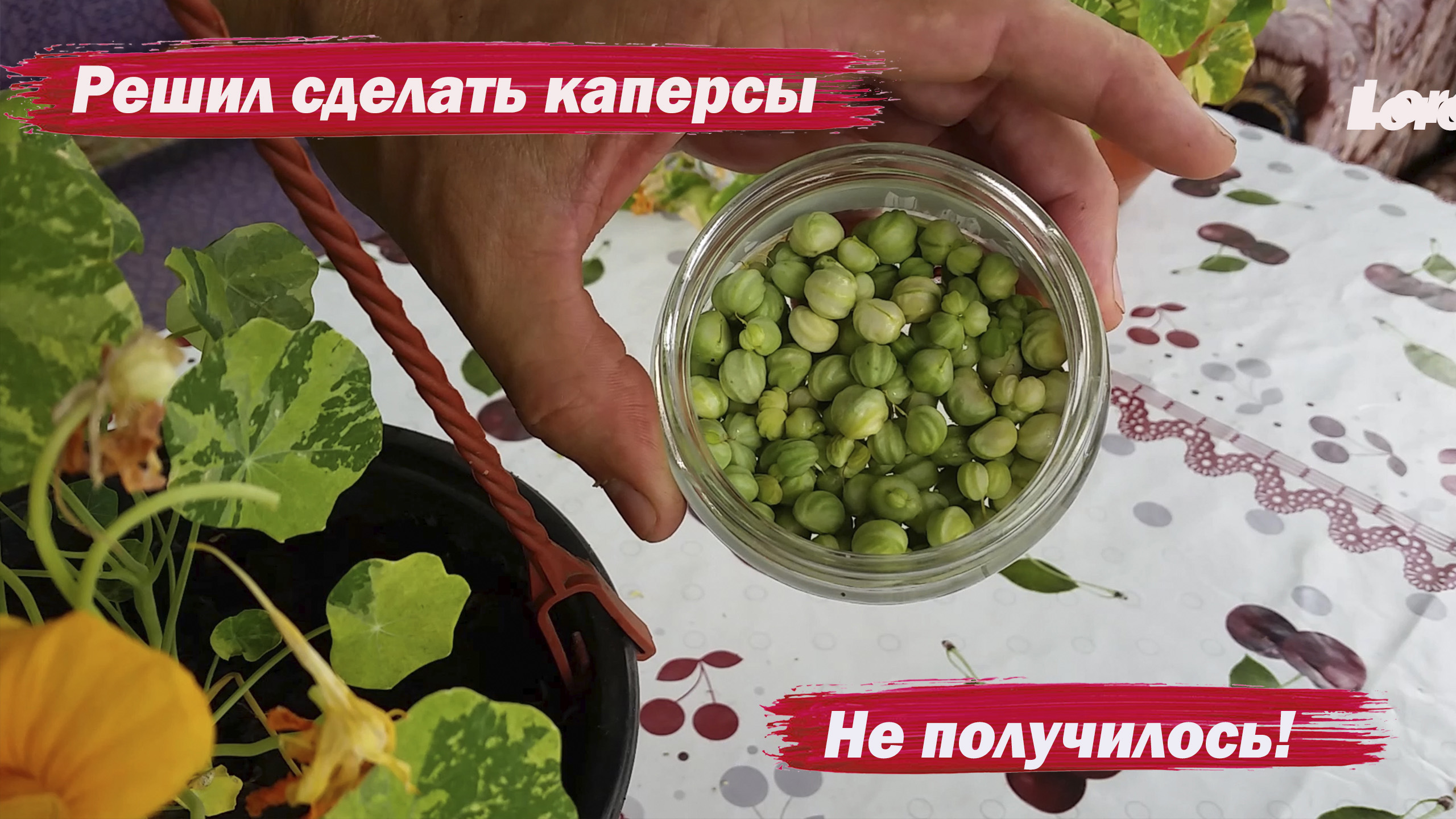 Решил сделать каперсы. Не получилось смотреть онлайн