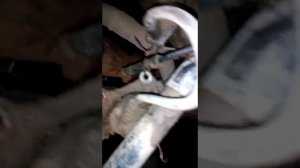 Замена ступичного подшипника Мерседес Вито