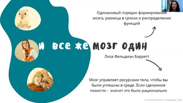 Эмоции и мозг смотреть онлайн