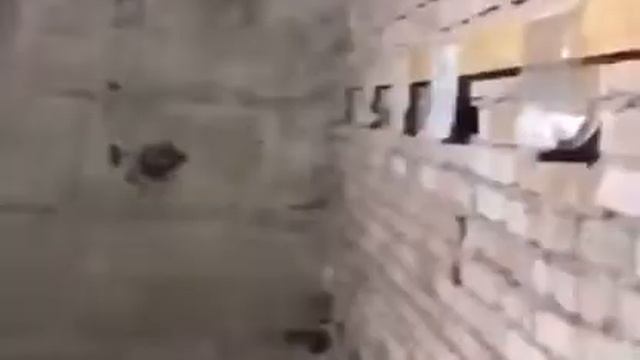 Сдам в аренду промышленную базу