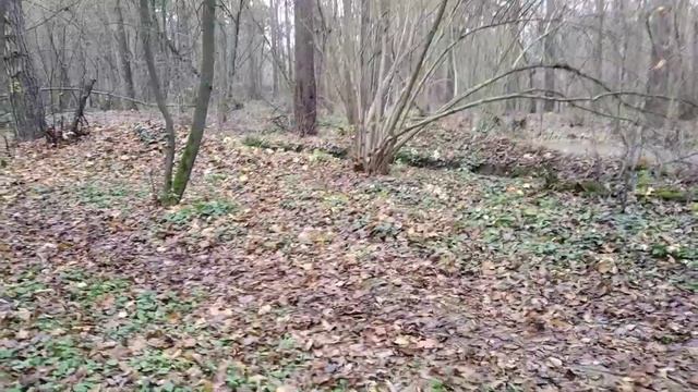 Зачем мужчины-вятичи носили серьгу в левом ухе? смотреть онлайн