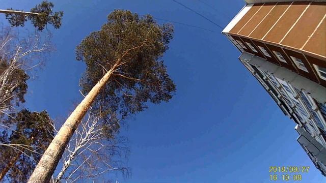 Экшн камера DIGMA DiCam 150. Минимальный бюджет. смотреть онлайн