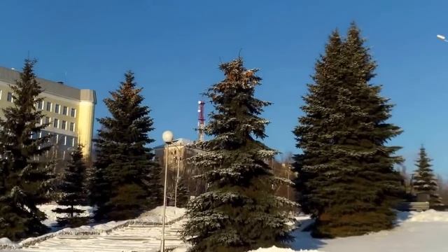 Там на елках шишки, там медведи смотреть онлайн