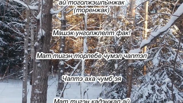 Родное слово (изучаем селькупский язык) Тема Язык 11.12.2022 года