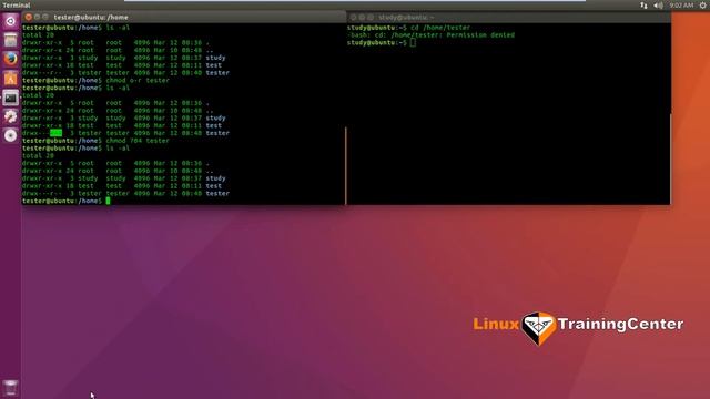 1.5 Права доступа в файловой системе | Linux для начинающих смотреть онлайн
