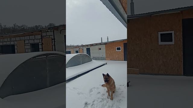 Снег в апреле! смотреть онлайн