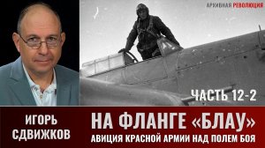 Игорь Сдвижков. На фланге "Блау". Авиация Красной армии над полем сражения. Часть 12-2