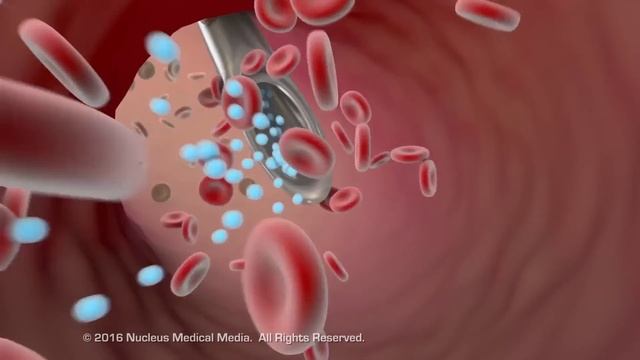 How Medications Get Absorbed By Your Body смотреть онлайн