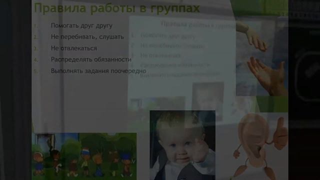 3 Б класс. Открытый урок по естествознанию. смотреть онлайн