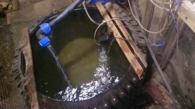 осетр спустя 11 месяцев смотреть онлайн