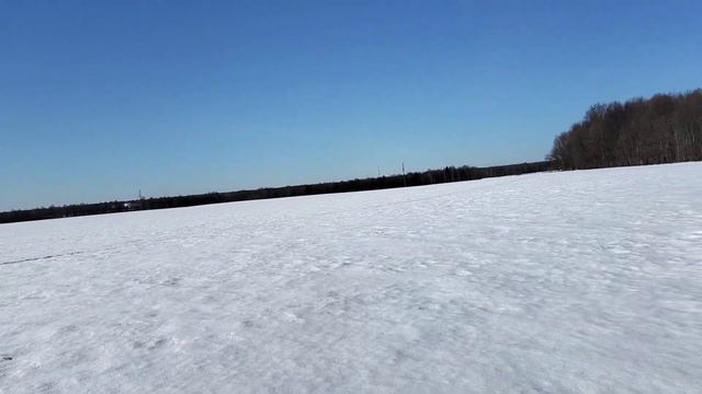 19 марта. Первый и последний наст. Следы. Гуляем хвостов. смотреть онлайн