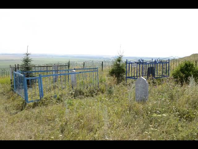 DSC 0125 смотреть онлайн