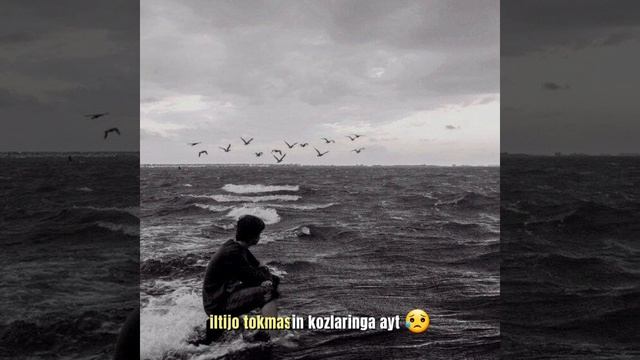 ketdingmi.mp4 смотреть онлайн