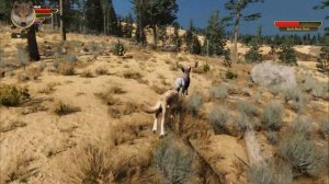 Лучший в мире симулятор ВОЛКА !