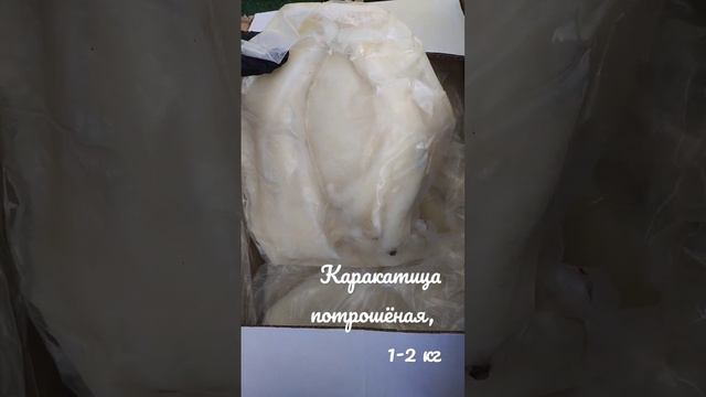 каракатица потрошёная, 1-2кг, специально для гриля #рыба #food #fish #креветка #морепродукты смотреть онлайн