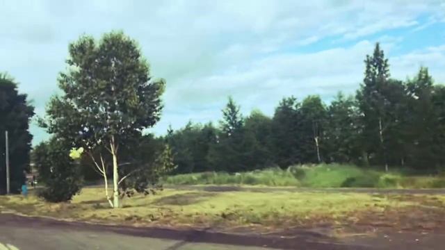 МИЛЬКОВО ЛЕТО 2017 смотреть онлайн