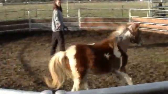 Northwind's Kick'n Sass SSH смотреть онлайн