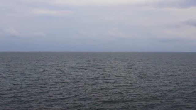Panorama della costa di Torre del Greco смотреть онлайн