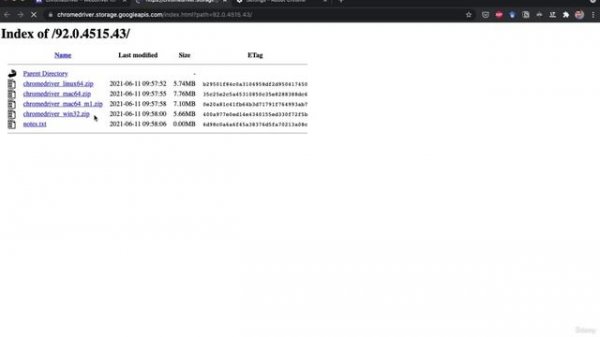 5. Introduction to Selenium 3. Installing Selenium and ChromeDriver