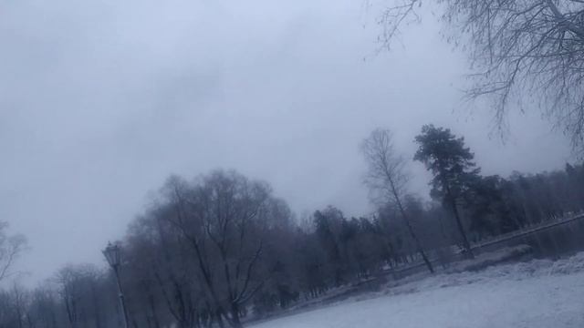 Жизнь как жизнь.Лена Хеппи благодарна ,что есть хоть какая то работа.(USA HAPPY EVERY DAY).Природа. смотреть онлайн