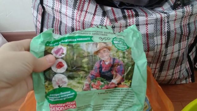 Шеффлера Актинофолия(звёздчатолистная), пересадка.! смотреть онлайн