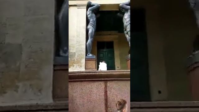 Атланты держат небо огромными руками.Санкт-Петербург.23.05.21г смотреть онлайн