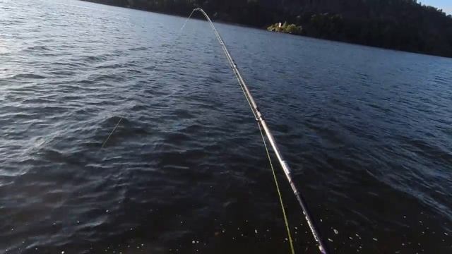 Судак на джиг. Окунь на тейл спиннер. Щука на тейл спиннер, которая... смотреть онлайн