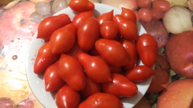 Обзор томата ЗАСОЛОЧНОЕ ЧУДО. смотреть онлайн