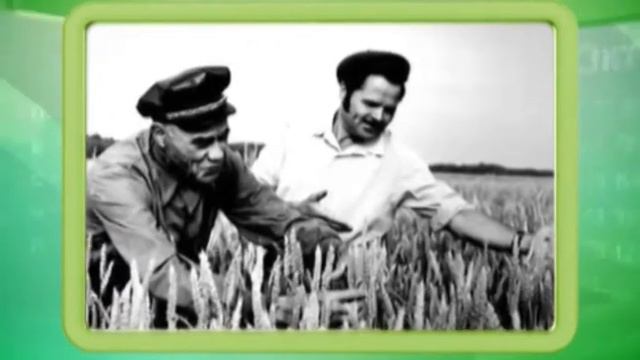 Календарь Губернии 29.03.2014 смотреть онлайн