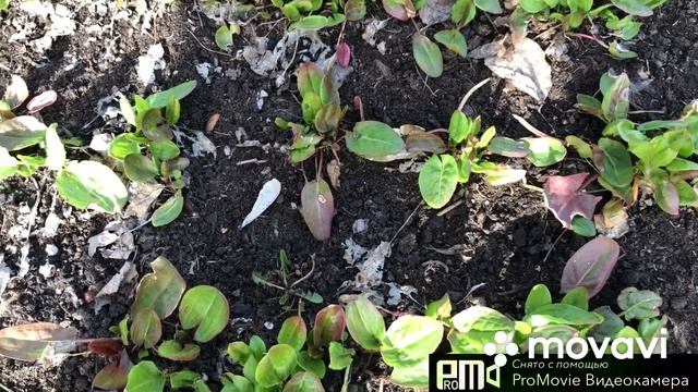 Первая поездка весной на дачу.(2023г.) смотреть онлайн