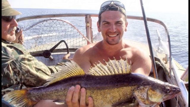 Активатор клева Fish Drive. Скидка -50% смотреть онлайн