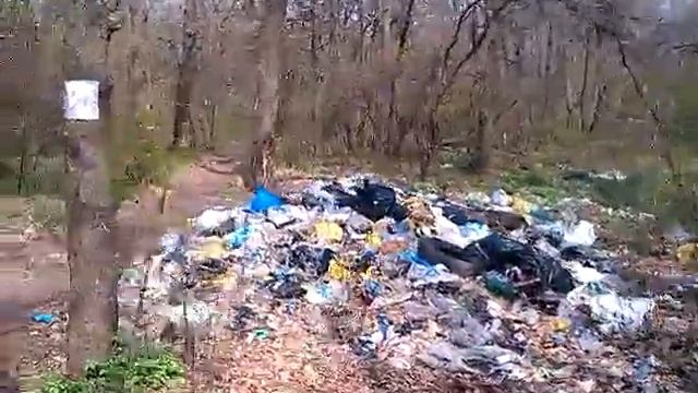 1 мая Саратов Кумысная поляна смотреть онлайн