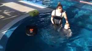 Как научить маленького двухлетнего ребенка плавать в бассейне