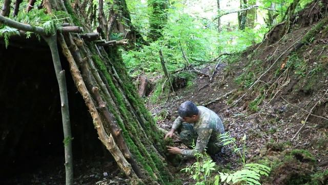 Building Survival Bushcraft Shelter In the Middle of Forest with Simple things смотреть онлайн