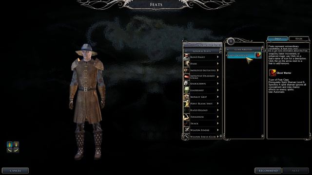 Neverwinter Nights 2 Pure Spirit Shaman Build смотреть онлайн