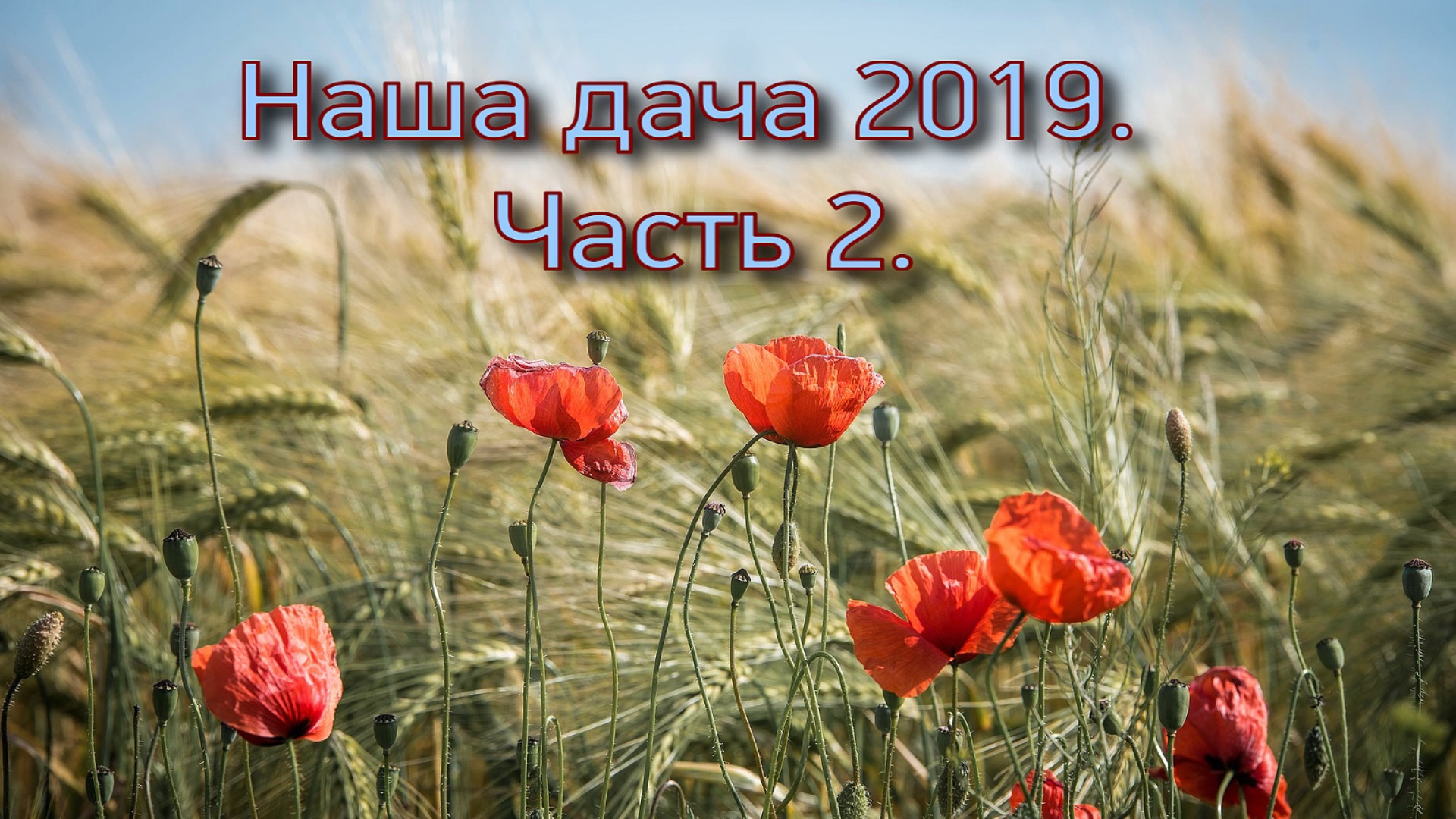 Наша дача 2019. Часть 2. смотреть онлайн