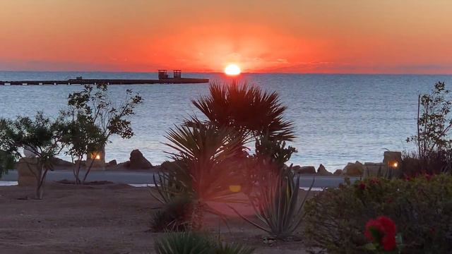 Sun rise scene Sheraton Soma Bay смотреть онлайн