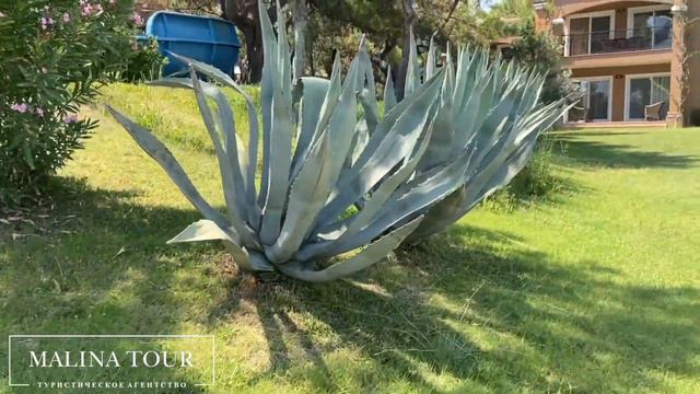 #Malinatour / Обзор отеля Pirate’s Beach Club 5*