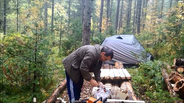 золотая осень смотреть онлайн