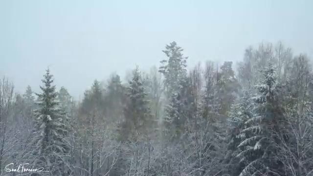 ВОССТАНОВЛЕНИЕ НЕРВНОЙ СИСТЕМЫ! Музыка Для Души! Это лучшая Неземная музыка для души #Музыка #5 смотреть онлайн