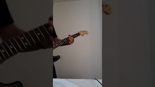 Stratocaster hh rosewood standard mexico test one смотреть онлайн