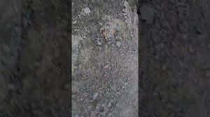 Краш-тест телефон LG