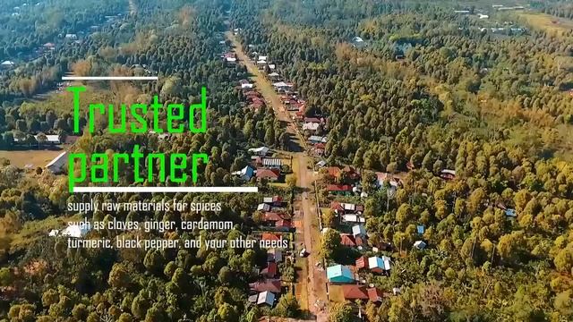 COMPANY PROFILE PT JAVA RATA INDONESIA смотреть онлайн
